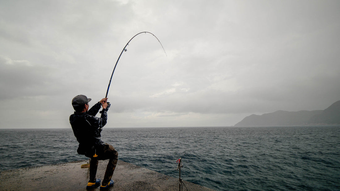 【最強】ブッコミ釣り(打ち込み釣り)でおすすめのロッドは?竿の選び方と各特徴を徹底解説