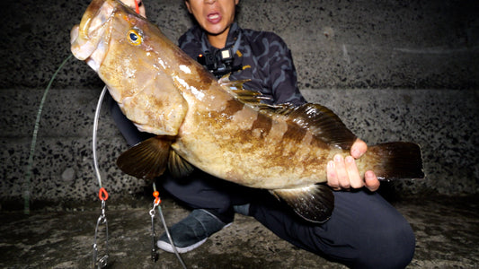 堤防から高級魚クエ(アラ)が釣れる!ぶっ込み釣法のコツ・タックル・仕掛けのおすすめ一覧