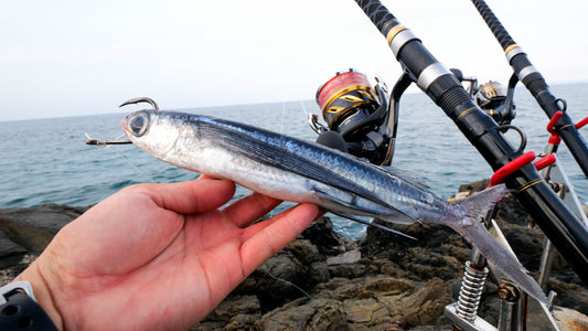 大物狙いのブッコミ釣り入門 | これさえ見ればコツ・タックル・仕掛け全てわかる!