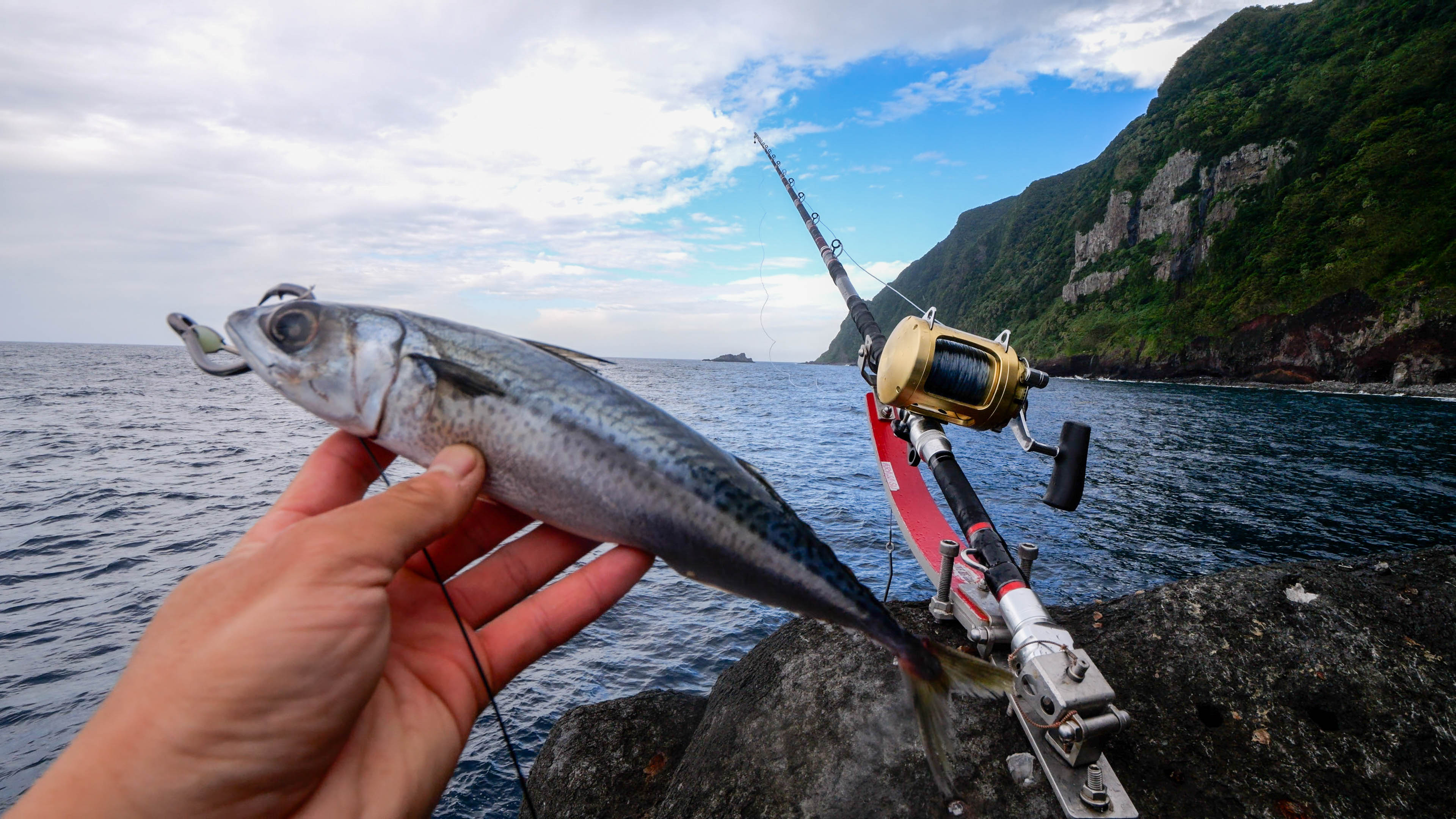 【磯・堤防】クエ釣りにおすすめの餌は?最も釣れた餌の種類や特徴など