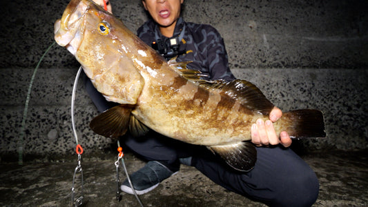 堤防から高級魚クエ（アラ）が釣れる！ぶっ込み釣法のコツ・タックル・仕掛けのおすすめ一覧